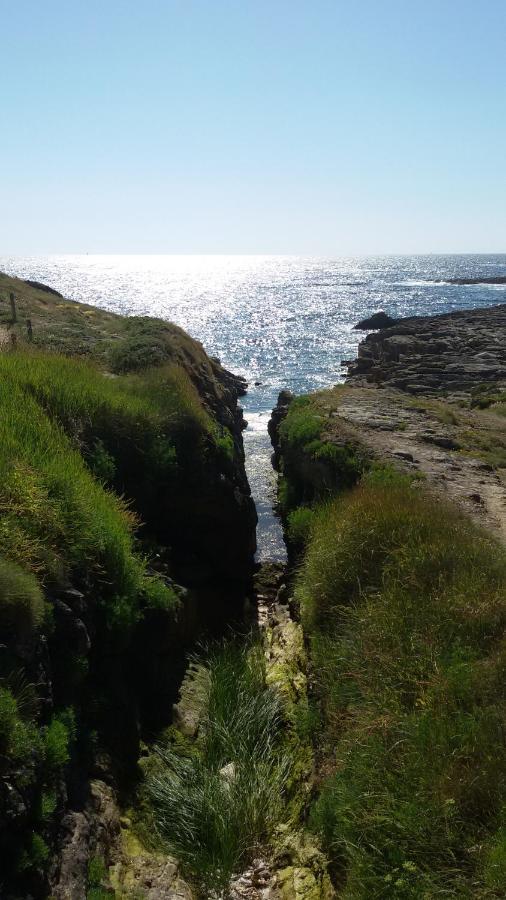 Ty Avel Studios 110 Et 111 Quiberon Dış mekan fotoğraf